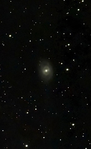 M95
