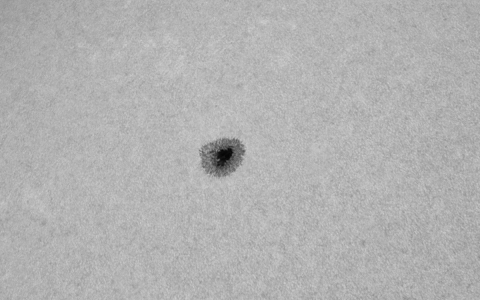 Aktive Region AR-13667 im Weißlicht